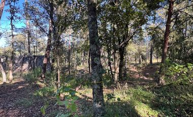 Terreno en venta en Huasca, Hidalgo.
