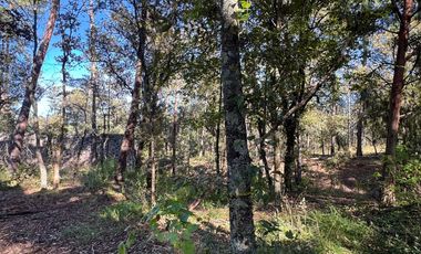 Terreno en venta en Huasca, Hidalgo.