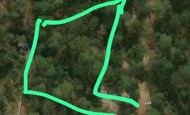 Terreno en venta en Huasca, Hidalgo.