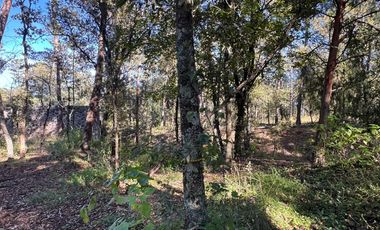 Terreno en venta en Huasca, Hidalgo.