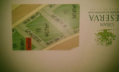 Venta de Terreno en Gran Reserva Ixtpan de la Sal - 442 m2