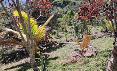 quinta vacacional con casa en venta con terreno sector YUNGUILLA en Santa Isabel