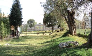 SE VENDE TERRENO A PIE DE CALLE EN PRIVADA A 2 CALLES DEL TECNOLOGICO DE HUEJOTZINGO, PUEBLA