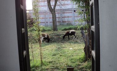 SE VENDE TERRENO A PIE DE CALLE EN PRIVADA A 2 CALLES DEL TECNOLOGICO DE HUEJOTZINGO, PUEBLA