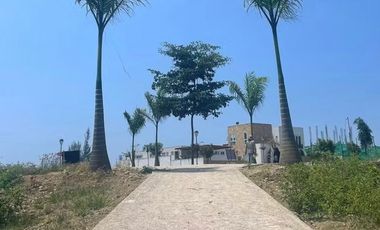 Terrenos de venta en en Olón