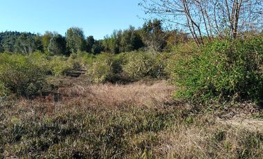 Parcela en Condominio Rio Chico - Puerto Montt