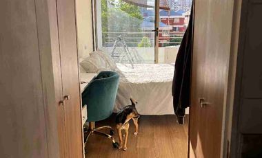 Arriendo departamento 1 dormitorio metro