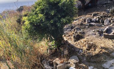 VENTA DE CASA  CON TODOS LOS SERVICIOS EN TLAYACAPAN, MOR.