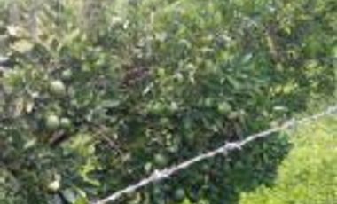 Vendo Finca Turística  en el Embalse Topocoro