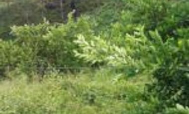 Vendo Finca Turística  en el Embalse Topocoro