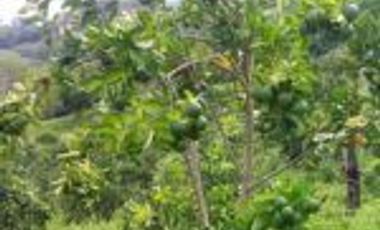 Vendo Finca Turística  en el Embalse Topocoro