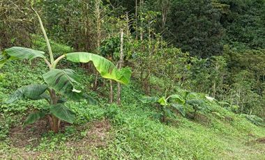 Vendo Finca San Vicente de Chucurí