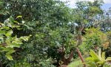 Vendo Finca San Vicente de Chucurí