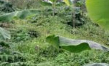 Vendo Finca San Vicente de Chucurí