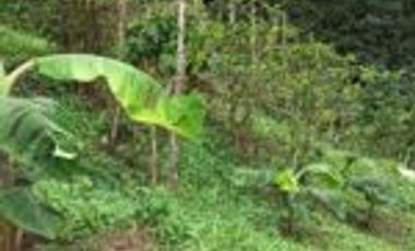 Vendo Finca San Vicente de Chucurí