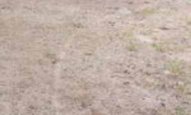 Vendo Finca de Turismo en Lebrija