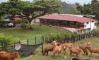 Vendo Finca San Vicente de Chucurí