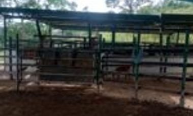 Vendo Finca San Vicente de Chucurí