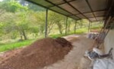 Vendo Finca San Vicente de Chucurí