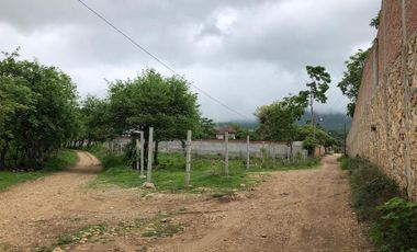 TERRENO EN VENTA, 9 HECTAREAS, BERRIOZABAL, CHIAPAS