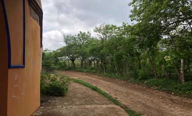 TERRENO EN VENTA, 9 HECTAREAS, BERRIOZABAL, CHIAPAS