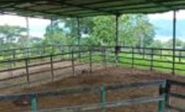 Vendo Finca Embalse Topocoro - Betulia