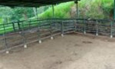 Vendo Finca Embalse Topocoro - Betulia