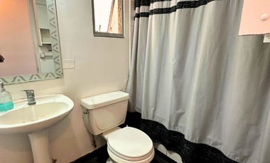 Departamento Carlos Walker Martinez, San Miguel