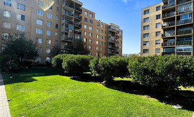 Departamento Carlos Walker Martinez, San Miguel