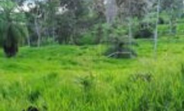 Venta Finca Embalse Topocoro