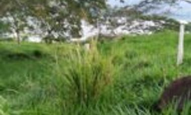 Venta Finca Embalse Topocoro