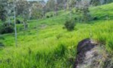 Venta Finca Embalse Topocoro