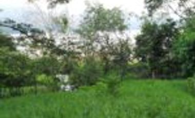 Venta Finca Embalse Topocoro