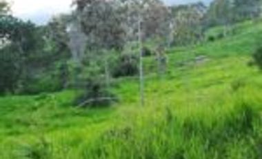 Venta Finca Embalse Topocoro