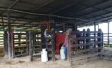 Vendo Finca Ganadera Embalse Topocoro