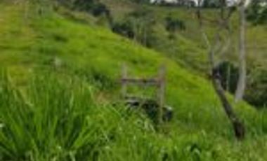 Vendo Finca Ganadera Embalse Topocoro