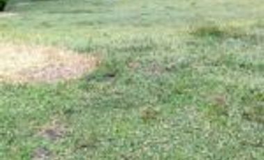 Vendo Finca Ganadera Barrancabermeja