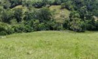 Vendo Finca Ganadera Barrancabermeja