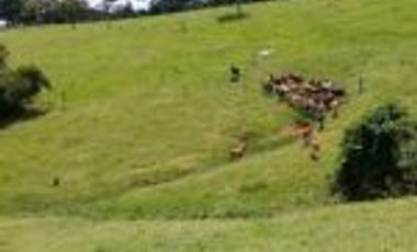 Vendo Finca Ganadera Barrancabermeja