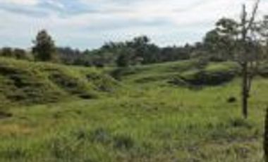 Vendo Finca Ganadera Barrancabermeja