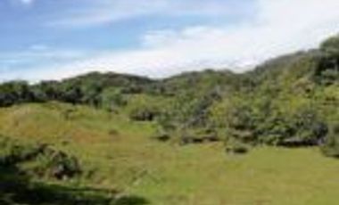 Vendo Finca Ganadera Barrancabermeja