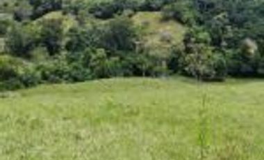 Vendo Finca Ganadera Barrancabermeja