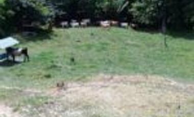 Vendo Finca Ganadera Barrancabermeja