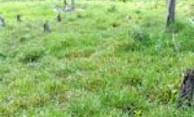 Vendo Finca Ganadera Barrancabermeja