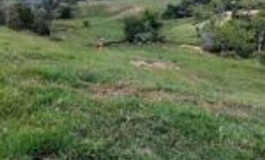 Vendo Finca Ganadera Barrancabermeja