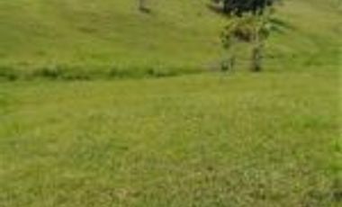 Vendo Finca Ganadera Barrancabermeja