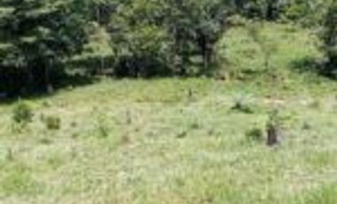 Vendo Finca Ganadera Barrancabermeja