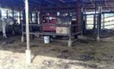 Vendo Finca Ganadera Barrancabermeja