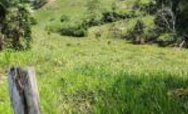 Vendo Finca Ganadera Barrancabermeja