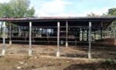 Vendo Finca Ganadera Barrancabermeja